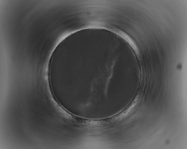 X0000103310958200808291426