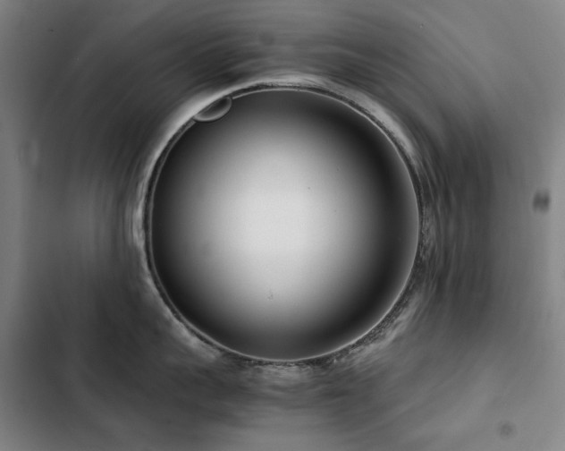 X0000103310959200808291426