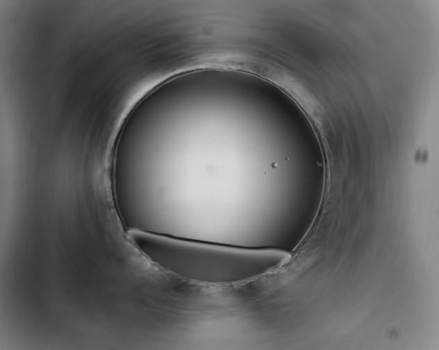 X0000103310960200808291426