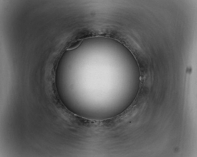 X0000103310961200808291425