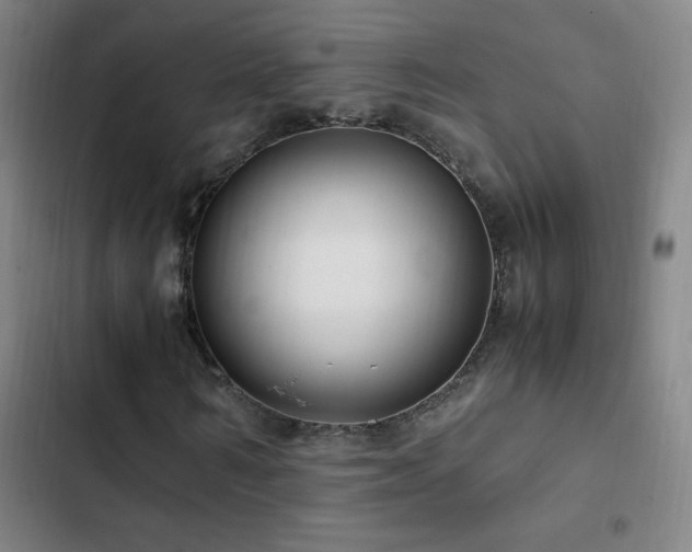 X0000103310962200808291425