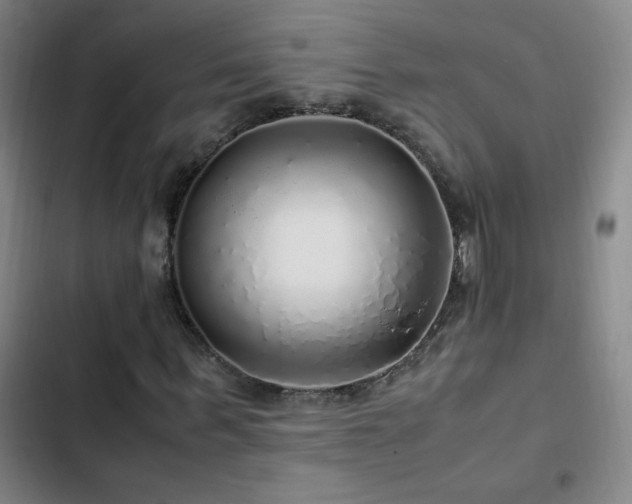 X0000103310963200808291425