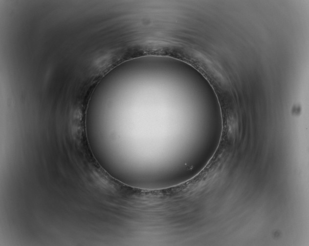X0000103310964200808291425