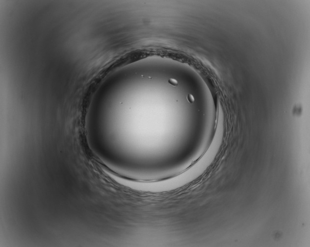 X0000103310965200808291425