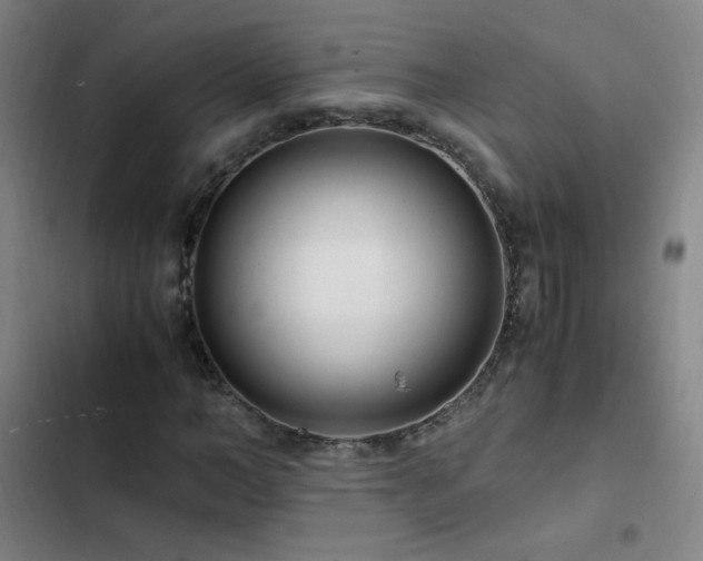 X0000103310966200808291425
