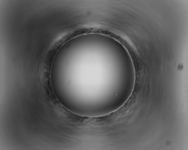 X0000103310967200808291425