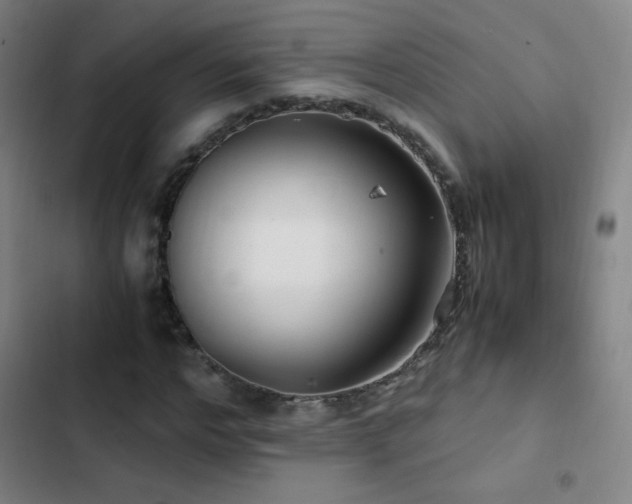 X0000103310968200808291425