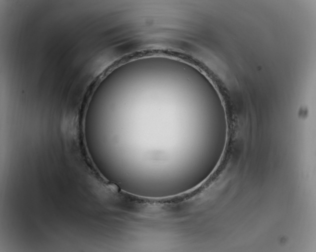 X0000103310969200808291425