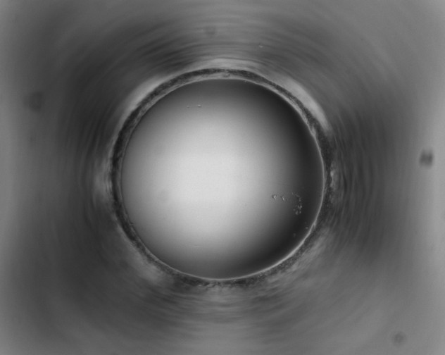 X0000103310972200808291425