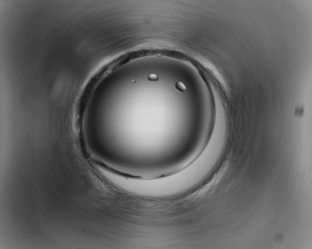X0000103310973200808291425