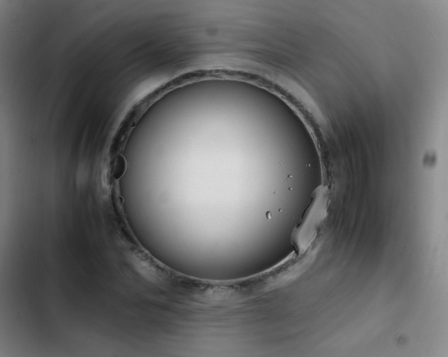 X0000103310974200808291425