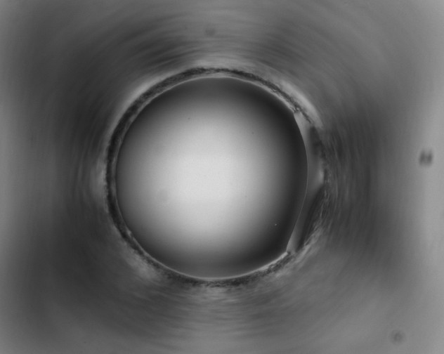 X0000103310976200808291425
