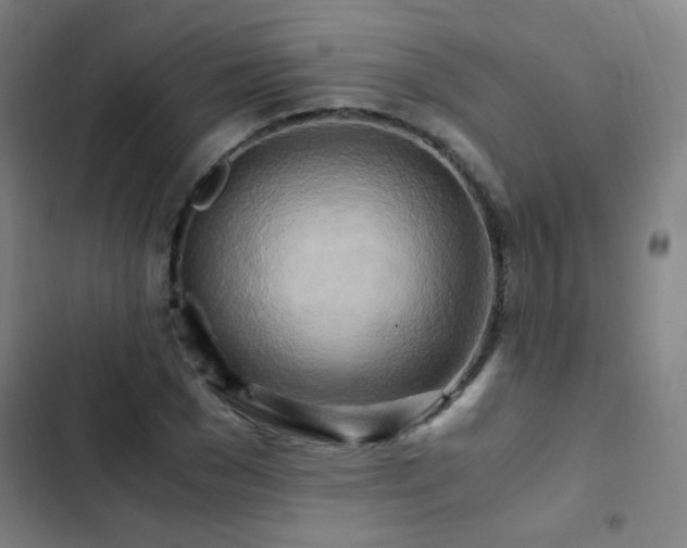 X0000103310977200808291425