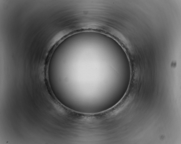 X0000103310978200808291425