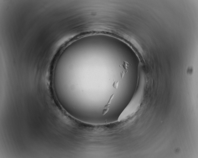 X0000103310979200808291425