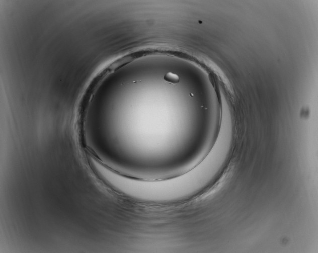 X0000103310981200808291425