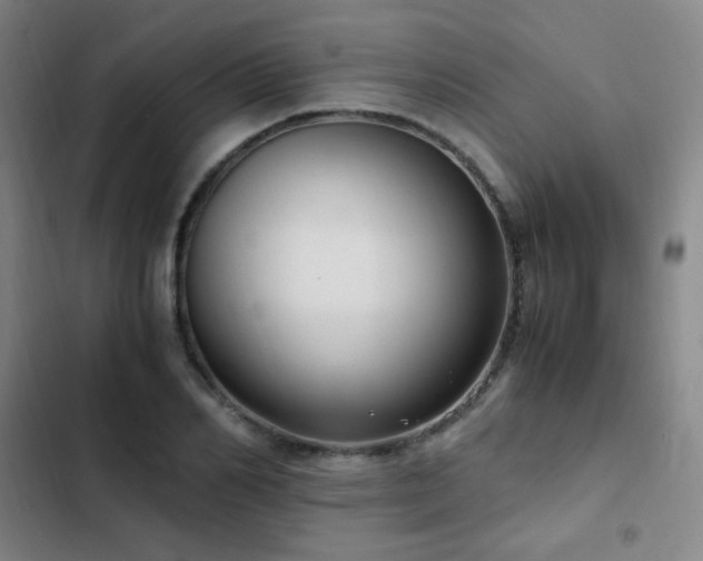 X0000103310982200808291425