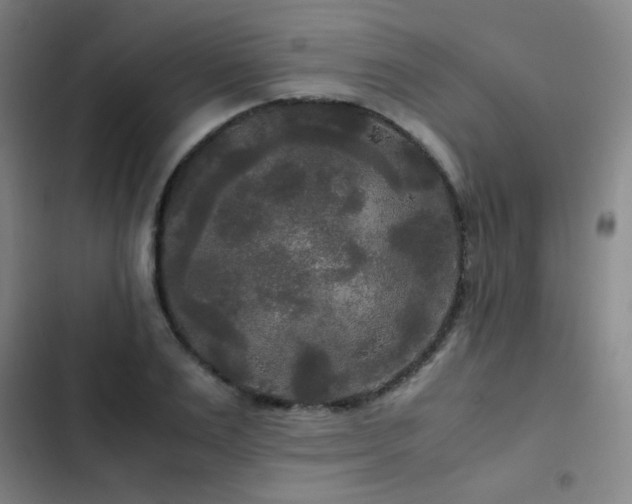 X0000103310983200808291425
