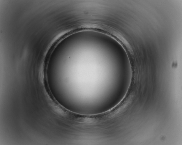 X0000103310984200808291425