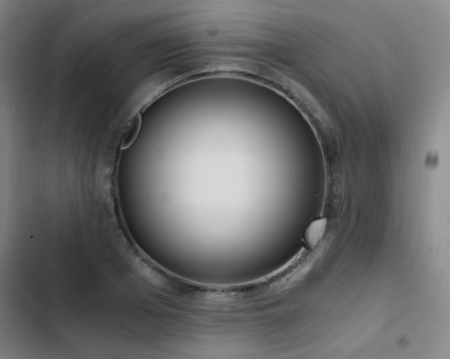 X0000103310985200808291425