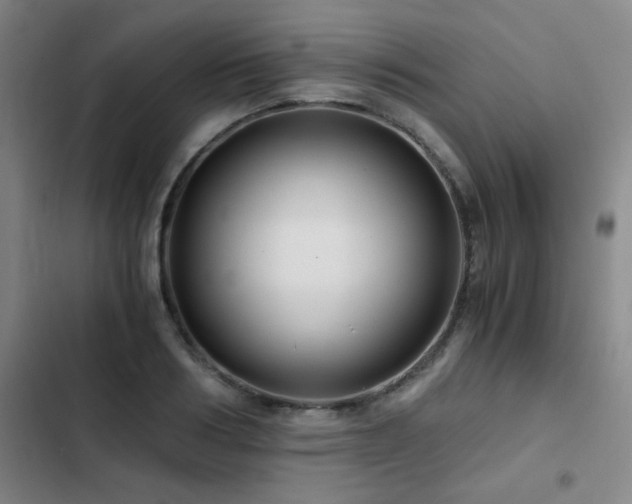 X0000103310986200808291425