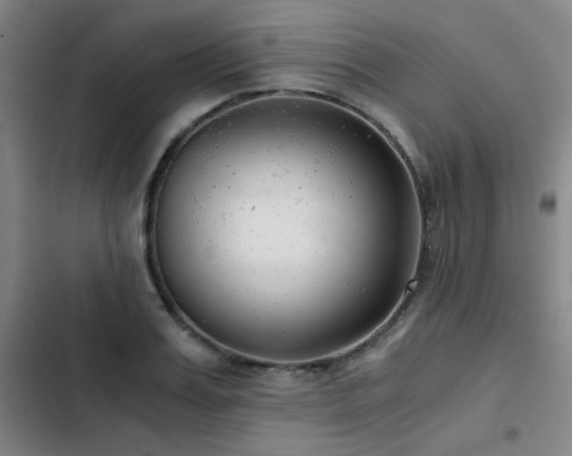 X0000103310987200808291425