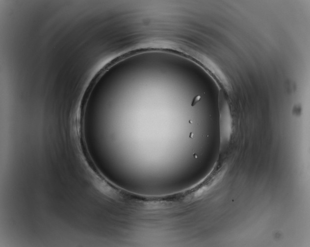 X0000103310988200808291425