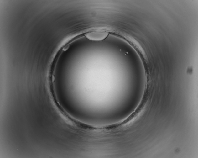 X0000103310989200808291425