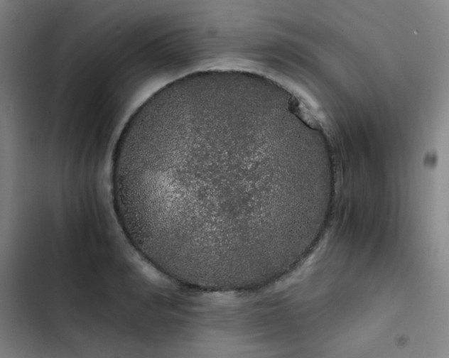 X0000103310990200808291425
