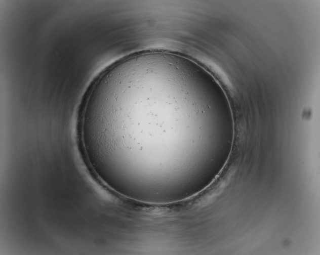 X0000103310991200808291425