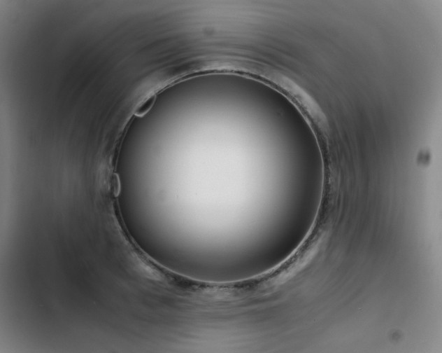 X0000103310993200808291425