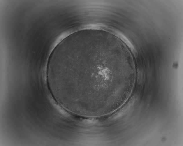 X0000103310994200808291425