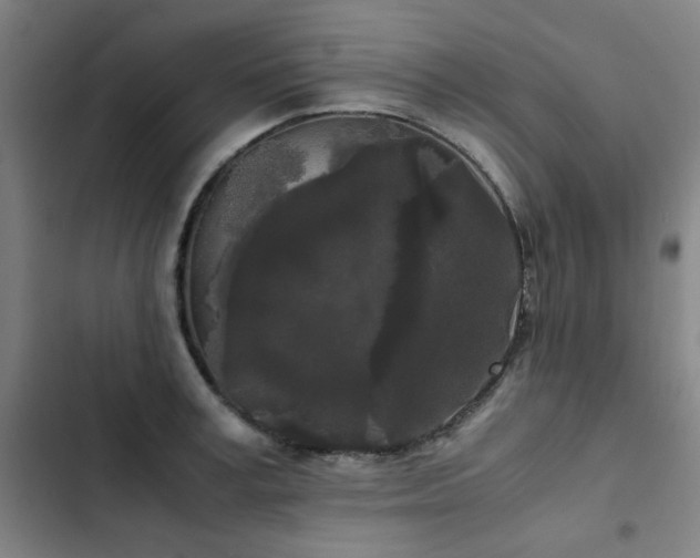 X0000103310995200808291425