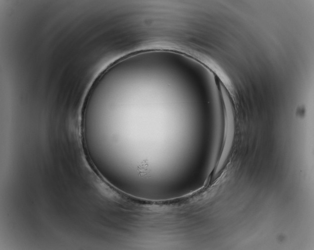 X0000103310996200808291425
