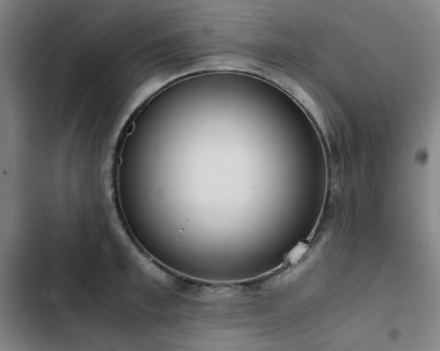 X0000103310997200808291425