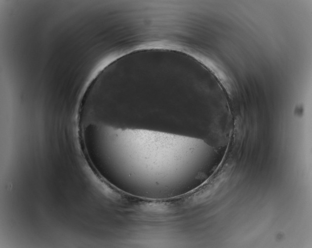X0000103310998200808291425