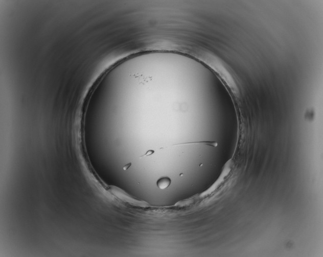 X0000103311000200808291425