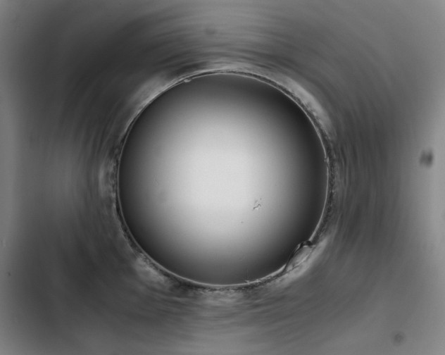X0000103311001200808291425