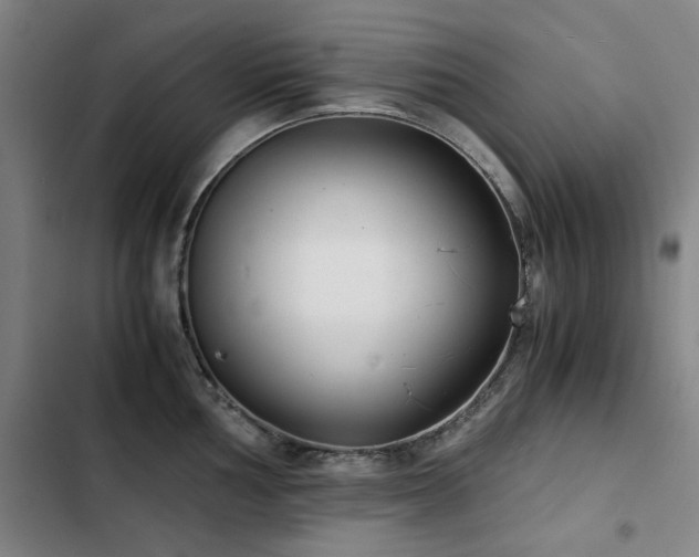 X0000103311002200808291425