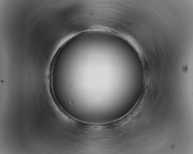 X0000103311003200808291425