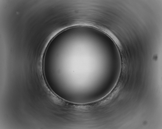 X0000103311004200808291425