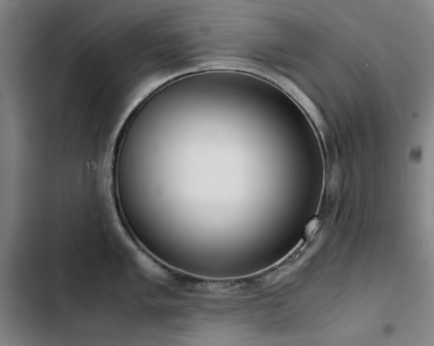 X0000103311005200808291425