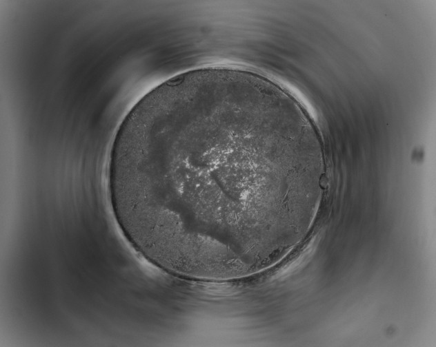 X0000103311007200808291424