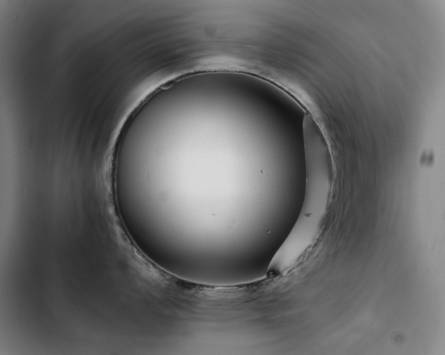 X0000103311008200808291424