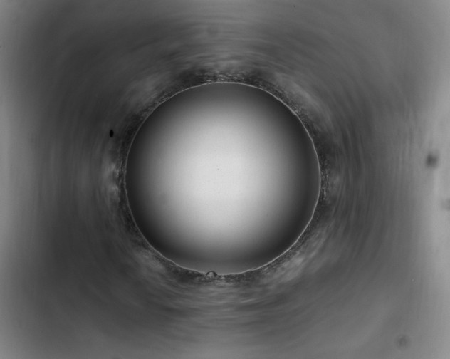 X0000103311010200808291424