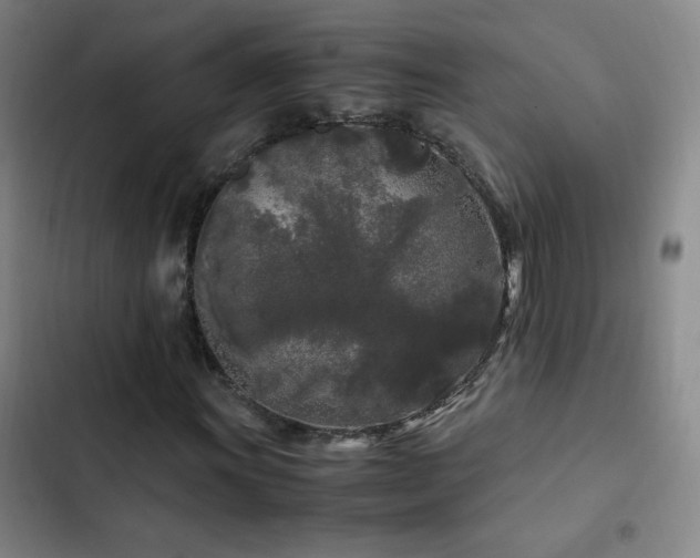 X0000103311011200808291424
