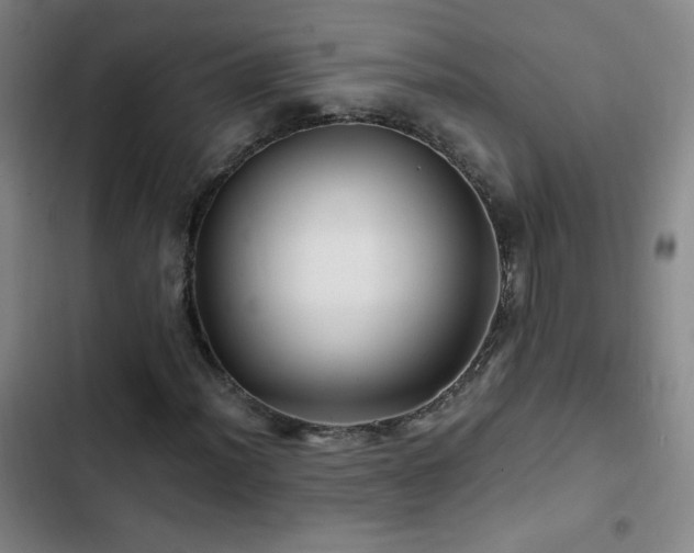 X0000103311012200808291424