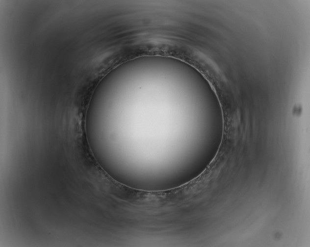 X0000103311013200808291424