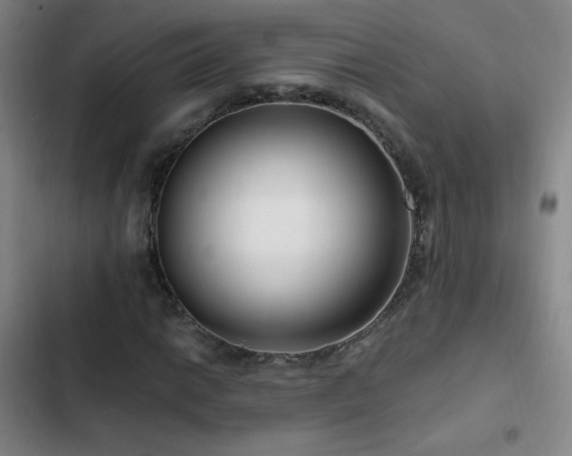 X0000103311014200808291424