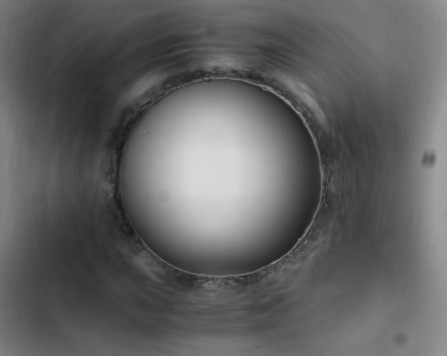 X0000103311015200808291424
